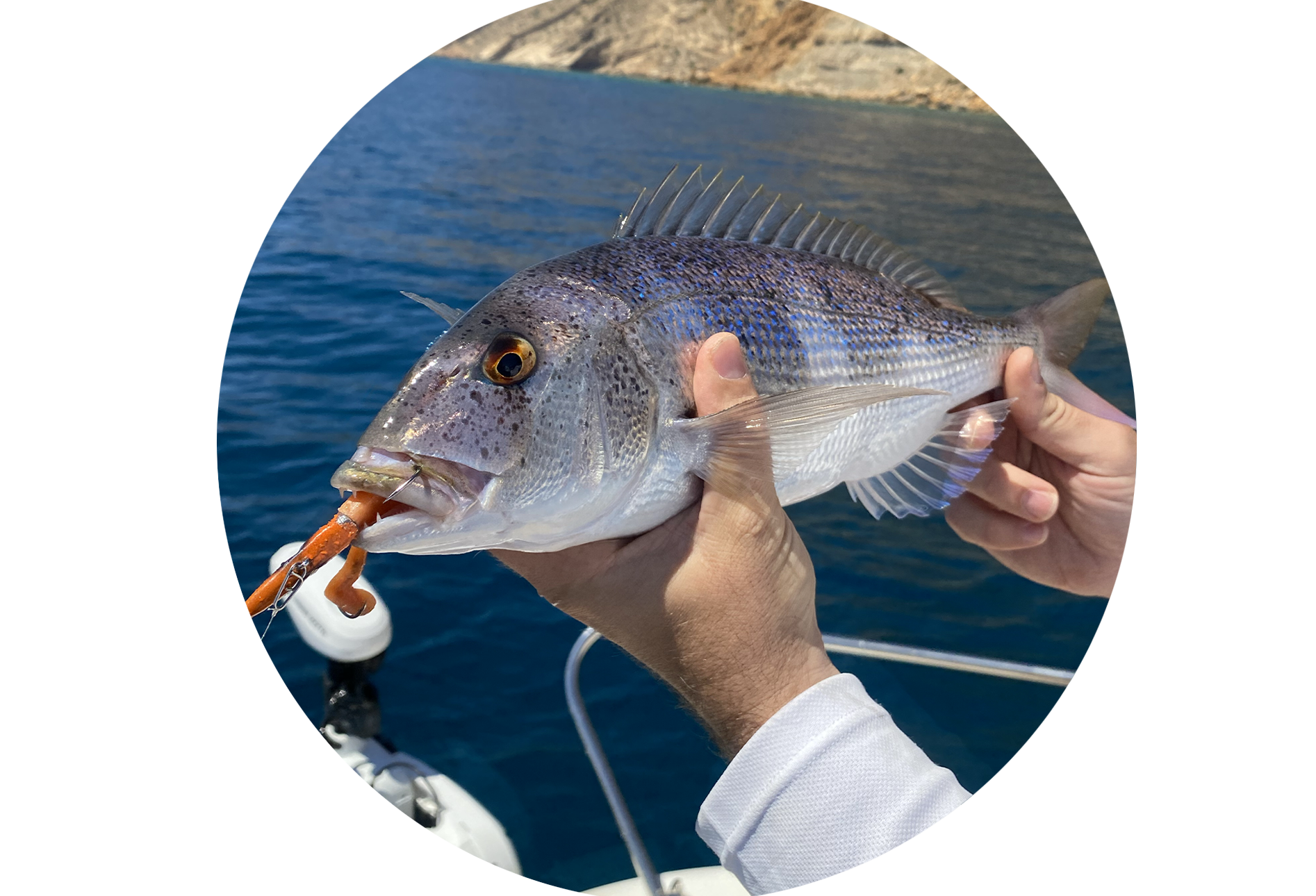 Excursión de Pesca en Altea
